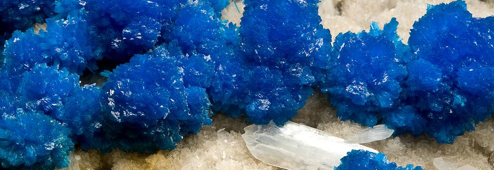 Découvrir la collection