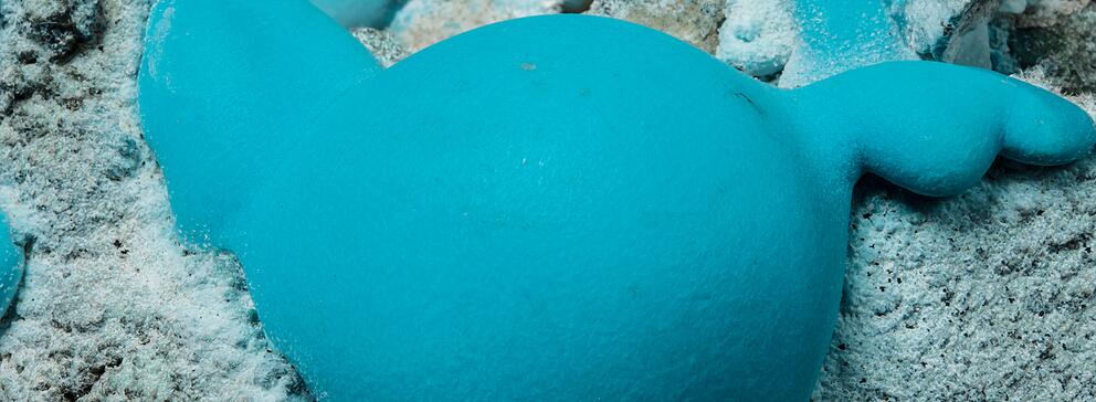 Trouver des ressources